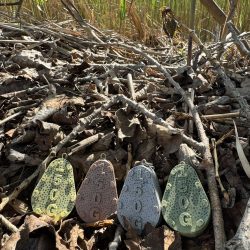 Red Sinker 150 g grippa súlyok természetközeli fotón – megbízható tapadás minden terepen Red Sinker 150 g grippa horgász súly színes változatokban, természetes környezetben
