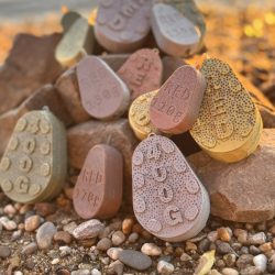 Széles szín- és méretválasztékban kapható Red Sinker inline és grippa horgász súlyok, hogy minden környezethez és horgászstílushoz megtaláld a megfelelőt.