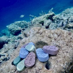 Red Sinker horgász súlyok a tengerfenéken – környezetbarát kialakítás, amely nem szennyezi a vizeket. Red Sinker horgász súlyok a tenger víz alatt