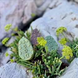 Red Sinker horgász nehezék sziklák között Red Sinker Környezetbarát horgász súlyok sziklák és növények között